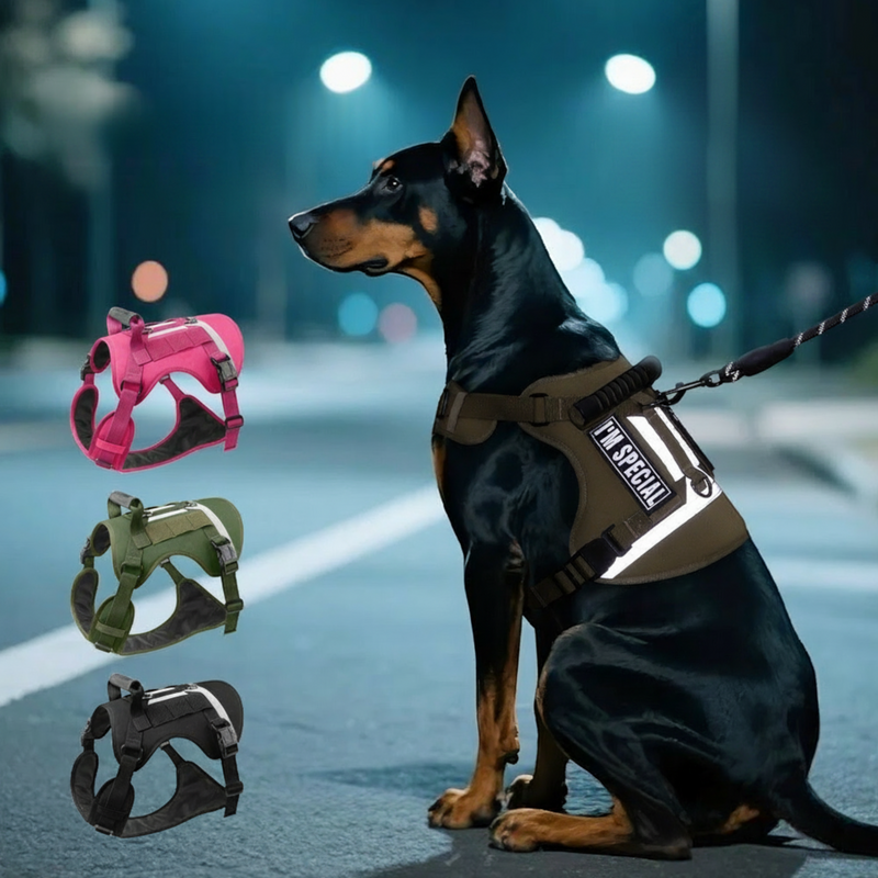 Taktisches Hundegeschirr – Reflektierendes, verstellbares Hundegeschirr für Training & Alltag