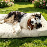 Kühlendes Hundebett & Katzenbett mit Gel-Kühlung – Waschbares Hundebett mit anpassungsfähigem Schaumkern, wasserabweisendem Bezug für kleine & große Hunde