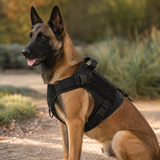 Taktisches Mesh-Hundegeschirr mit Haltegriff