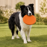 Hundefrisbee aus Gummi
