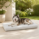 Kühlendes Hundebett mit Schaumkern