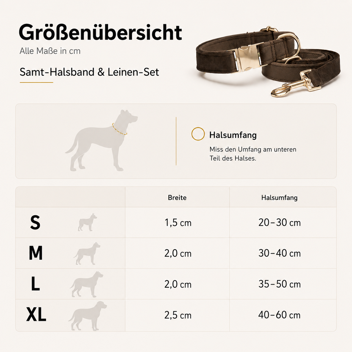 Samt-Halsband & Leinen-Set