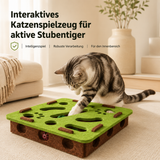 Interaktives Katzenspielbrett