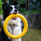 Hundespielzeug Set – Robustes Kauspielzeug für Hunde mit Beißring, Kau Ring & Trainingsspielzeug aus EVA