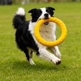 Hundespielzeug Set – Robustes Kauspielzeug für Hunde mit Beißring, Kau Ring & Trainingsspielzeug aus EVA