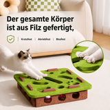 Interaktives Katzenspielzeug – Intelligenzspiel für Katzen mit Bällen und Verstecken