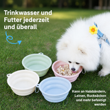 Faltbarer Hundenapf & Katzennapf aus Silikon – Reisenapf für Wasser und Futter, Outdoor Futternapf für Spaziergänge, Camping & Reisen