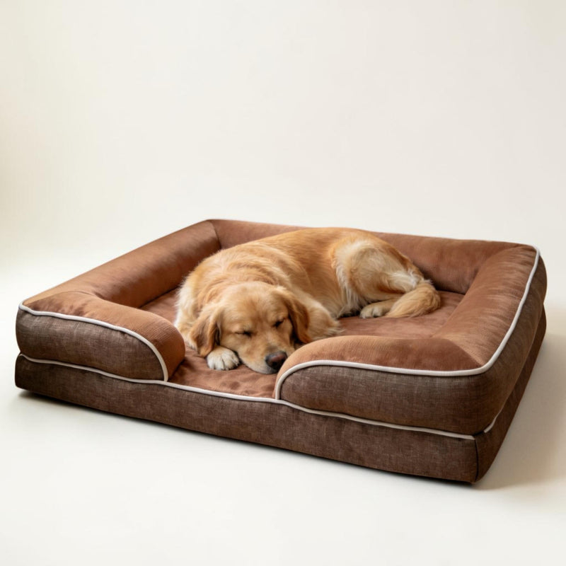 Orthopädisches Hundebett – Wasserdichtes Memory Foam Hundebett mit waschbarem Bezug, Gel-Memory-Schaum & rutschfester Unterseite für kleine & große Hunde