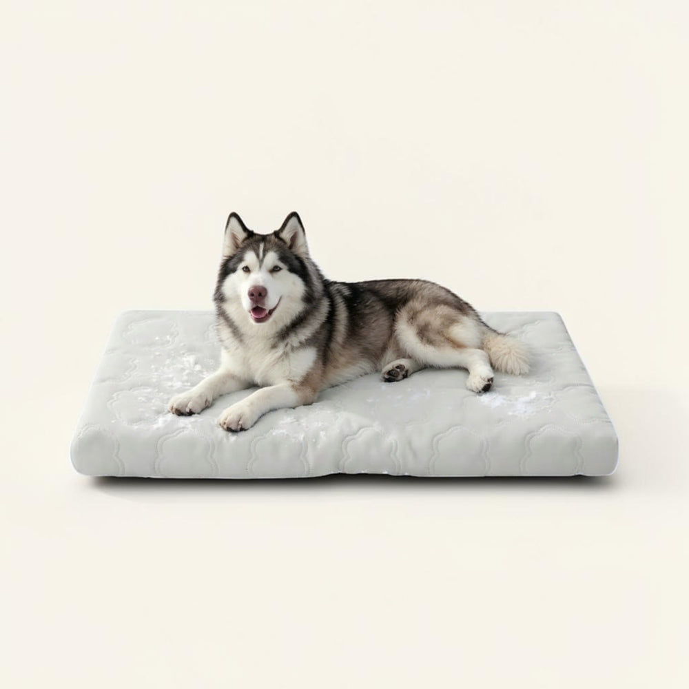 Kühlendes Hundebett & Katzenbett mit Gel-Kühlung – Waschbares Hundebett mit anpassungsfähigem Schaumkern, wasserabweisendem Bezug für kleine & große Hunde