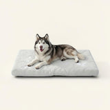 Kühlendes Hundebett & Katzenbett mit Gel-Kühlung – Waschbares Hundebett mit anpassungsfähigem Schaumkern, wasserabweisendem Bezug für kleine & große Hunde