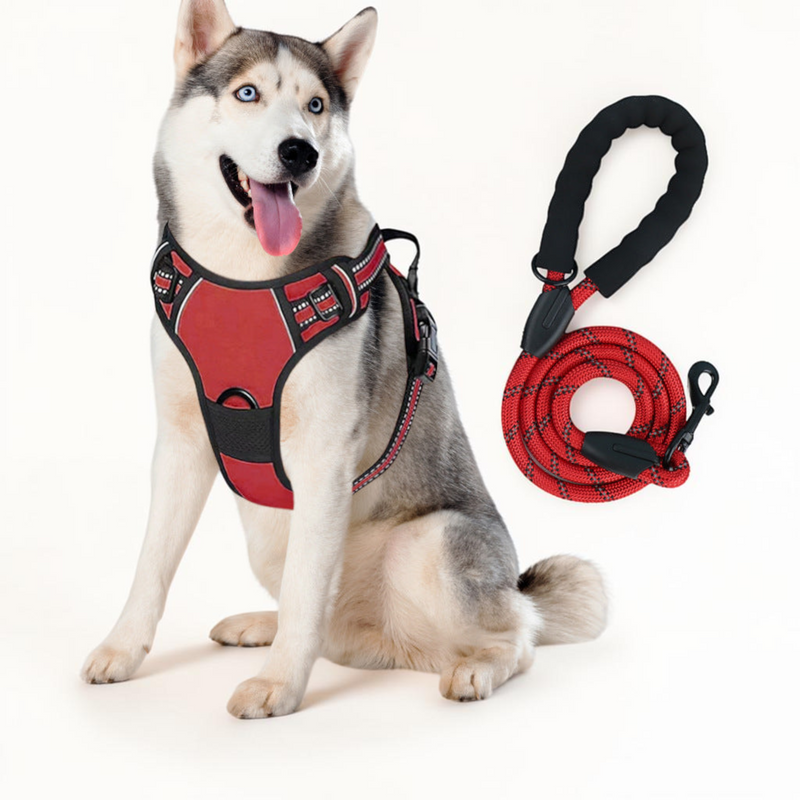 Reflektierendes Hundegeschirr mit Leine – Verstellbares Hundegeschirr-Set für kleine & große Hunde