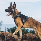 Taktisches Hundegeschirr mit Haltegriff – Verstellbares Mesh-Hundegeschirr aus Polyester für kleine, mittelgroße & große Hunde