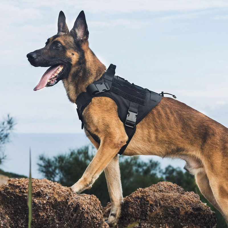 Taktisches Hundegeschirr mit Haltegriff – Verstellbares Mesh-Hundegeschirr aus Polyester für kleine, mittelgroße & große Hunde