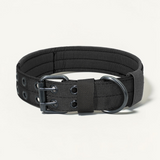 Verstellbares Hundehalsband aus Nylon – Robustes Halsband für mittelgroße und große Hunde