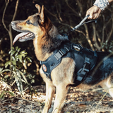 Taktisches Hundegeschirr mit Haltegriff – Verstellbares Mesh-Hundegeschirr aus Polyester für kleine, mittelgroße & große Hunde
