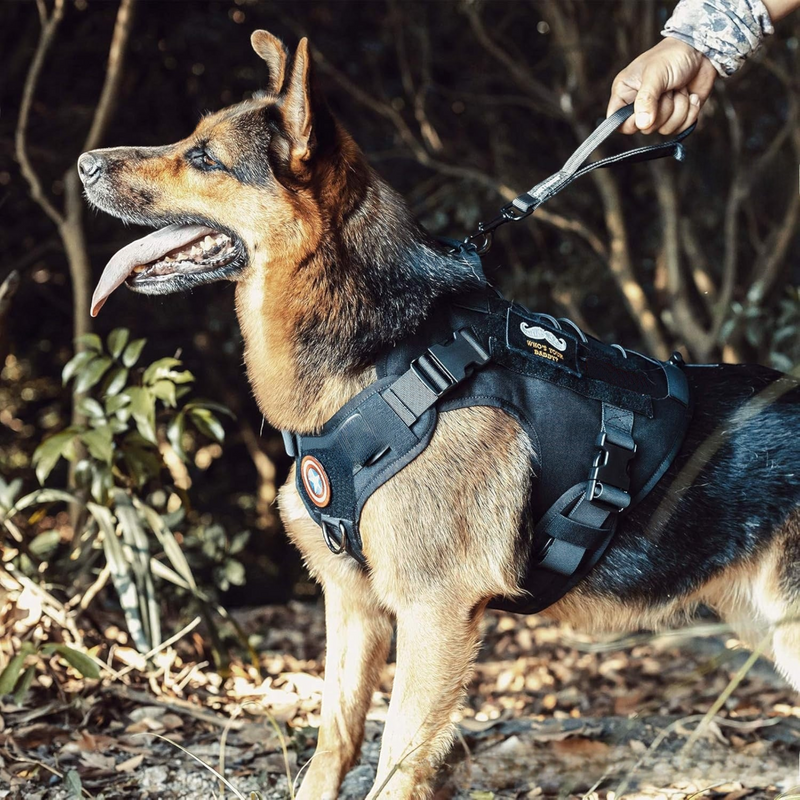 Taktisches Hundegeschirr mit Haltegriff – Verstellbares Mesh-Hundegeschirr aus Polyester für kleine, mittelgroße & große Hunde