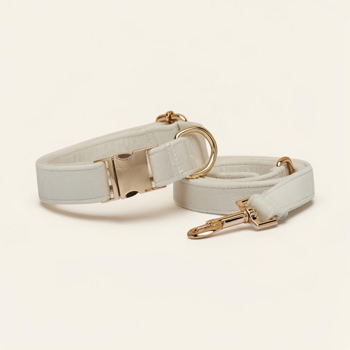 Samt-Halsband & Leinen-Set