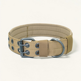 Verstellbares Hundehalsband aus Nylon – Robustes Halsband für mittelgroße und große Hunde