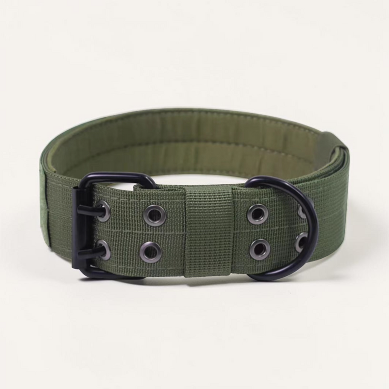 Verstellbares Hundehalsband aus Nylon – Robustes Halsband für mittelgroße und große Hunde