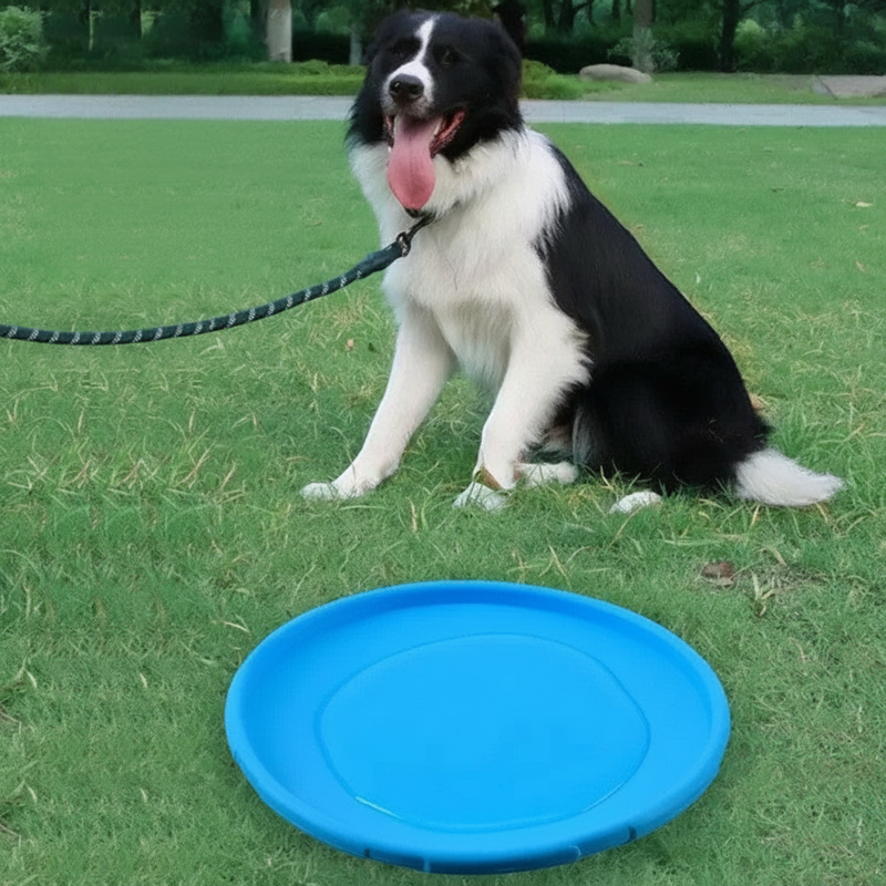 Hundefrisbee aus Gummi – Robustes Wurfspielzeug für Hunde zum Apportieren und Training