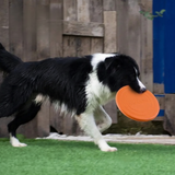 Hundefrisbee aus Gummi – Robustes Wurfspielzeug für Hunde zum Apportieren und Training