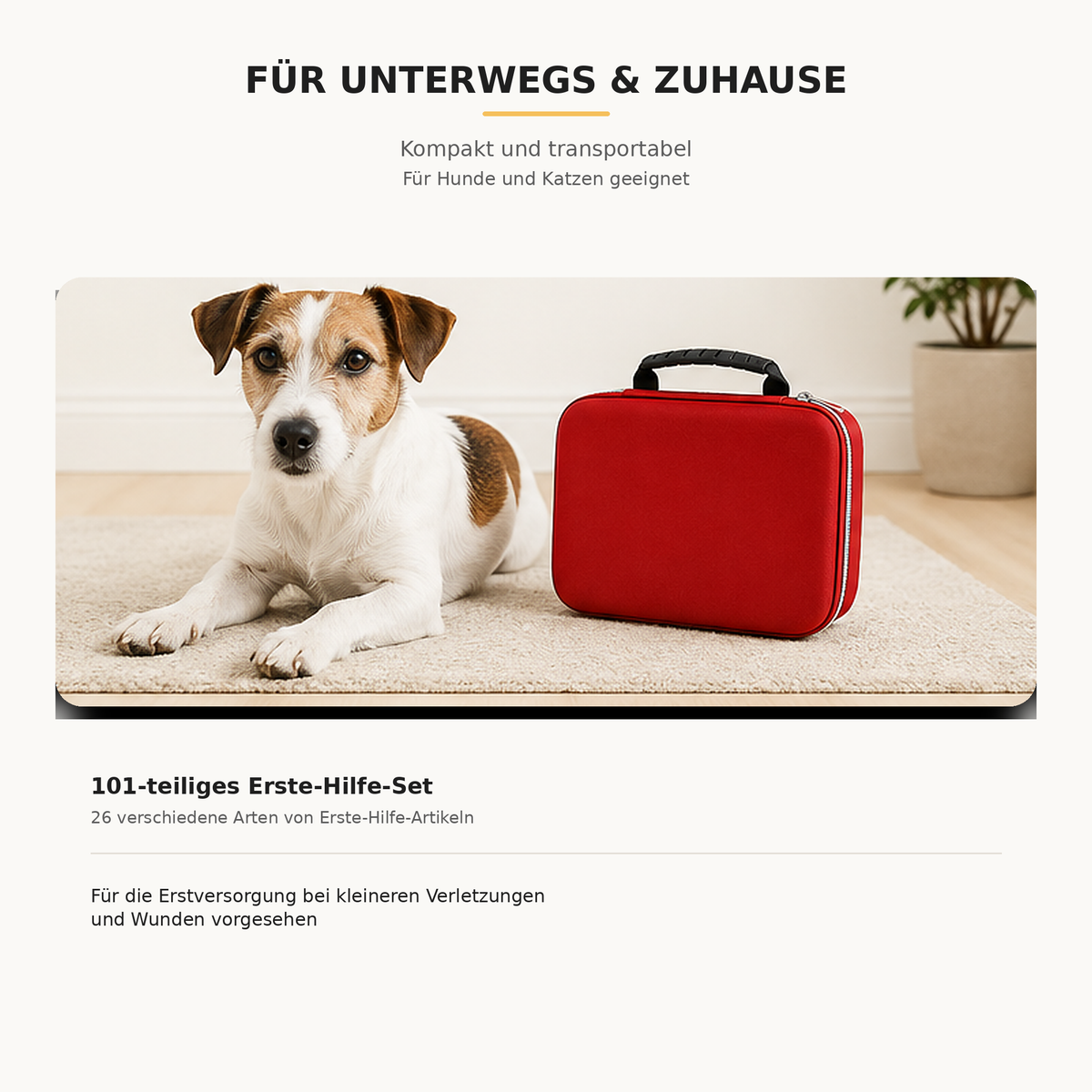 Erste-Hilfe-Set für Hunde & Katzen